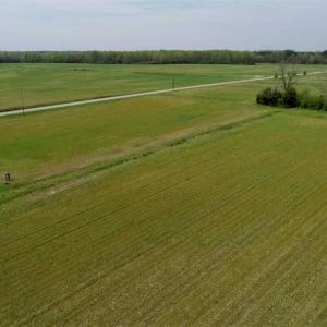 Photo of REDUCED! 49 Acres of Farm and Timber Land For Sale in Halifax County NC!