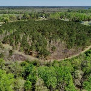 Photo of SOLD!!  36 Acres of  Timber Land For Sale in Pitt County NC!