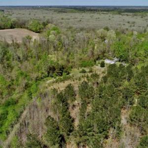 Photo of SOLD!!  36 Acres of  Timber Land For Sale in Pitt County NC!