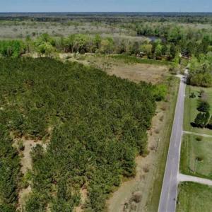Photo of SOLD!!  36 Acres of  Timber Land For Sale in Pitt County NC!