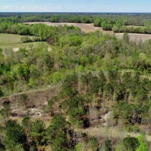 Photo of SOLD!!  36 Acres of  Timber Land For Sale in Pitt County NC!