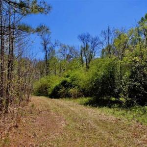 Photo of SOLD!!  36 Acres of  Timber Land For Sale in Pitt County NC!
