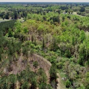 Photo of SOLD!!  36 Acres of  Timber Land For Sale in Pitt County NC!