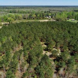 Photo of SOLD!!  36 Acres of  Timber Land For Sale in Pitt County NC!