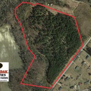 Photo of SOLD!!  36 Acres of  Timber Land For Sale in Pitt County NC!