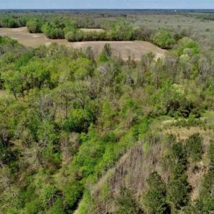 Photo of SOLD!!  36 Acres of  Timber Land For Sale in Pitt County NC!