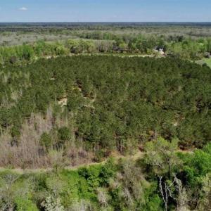 Photo of SOLD!!  36 Acres of  Timber Land For Sale in Pitt County NC!