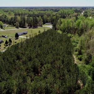 Photo of SOLD!!  36 Acres of  Timber Land For Sale in Pitt County NC!