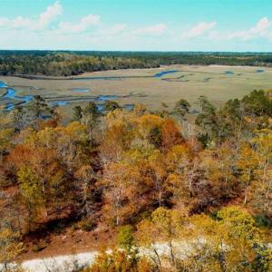 Photo of REDUCED!  0.47 Acre Residential Lot For Sale in Brunswick County NC!
