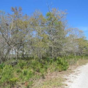 Photo of REDUCED!  0.47 Acre Residential Lot For Sale in Brunswick County NC!