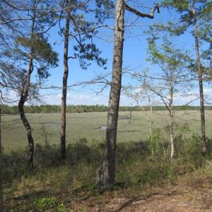 Photo of REDUCED!  0.47 Acre Residential Lot For Sale in Brunswick County NC!