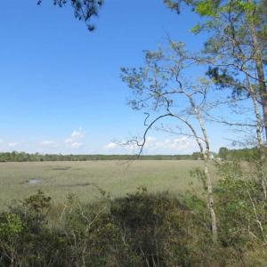 Photo of REDUCED!  0.47 Acre Residential Lot For Sale in Brunswick County NC!