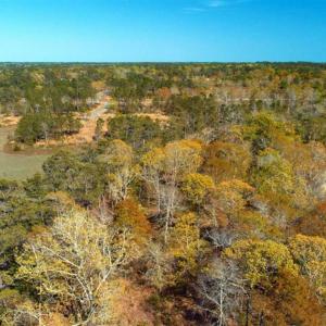 Photo of REDUCED!  0.47 Acre Residential Lot For Sale in Brunswick County NC!