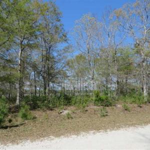 Photo of REDUCED!  0.47 Acre Residential Lot For Sale in Brunswick County NC!
