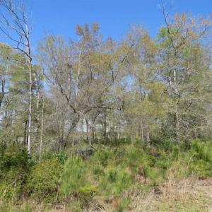 Photo of REDUCED!  0.47 Acre Residential Lot For Sale in Brunswick County NC!