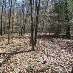 Photo of 1 Acre Residential Building Lot For Sale in Southampton County VA!