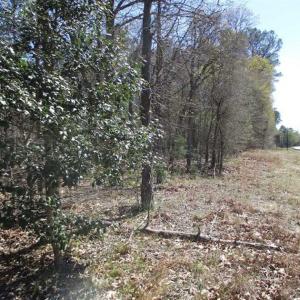 Photo of 1 Acre Residential Building Lot For Sale in Southampton County VA!