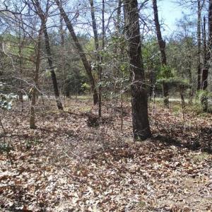 Photo of 1 Acre Residential Building Lot For Sale in Southampton County VA!