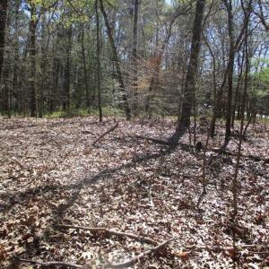 Photo of 1 Acre Residential Building Lot For Sale in Southampton County VA!