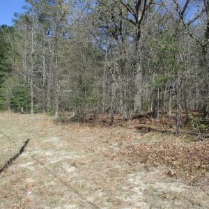 Photo of 1 Acre Residential Building Lot For Sale in Southampton County VA!