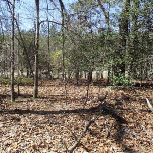 Photo of 1 Acre Residential Building Lot For Sale in Southampton County VA!