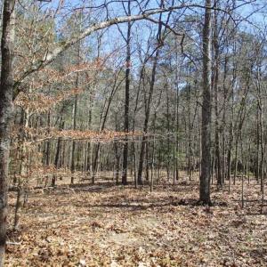 Photo of 1 Acre Residential Building Lot For Sale in Southampton County VA!