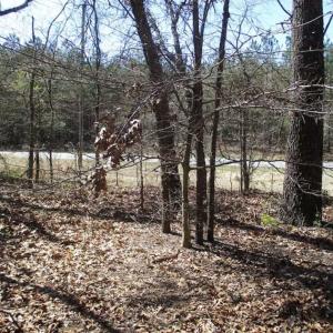 Photo of 1 Acre Residential Building Lot For Sale in Southampton County VA!