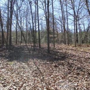 Photo of 1 Acre Residential Building Lot For Sale in Southampton County VA!