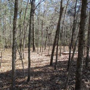 Photo of 1 Acre Residential Building Lot For Sale in Southampton County VA!