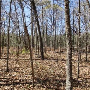 Photo of 1 Acre Residential Building Lot For Sale in Southampton County VA!