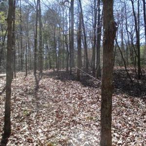 Photo of 1 Acre Residential Building Lot For Sale in Southampton County VA!