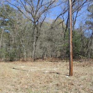 Photo of 1 Acre Residential Building Lot For Sale in Southampton County VA!