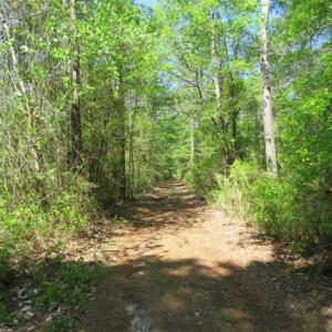 Photo of SOLD!!  9 Acres of Residential and Hunting Land in Pender County NC!