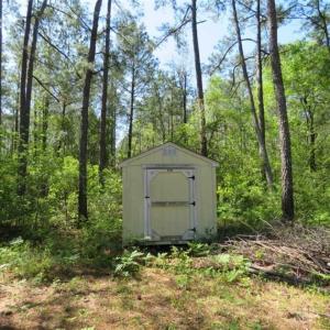 Photo of SOLD!!  9 Acres of Residential and Hunting Land in Pender County NC!