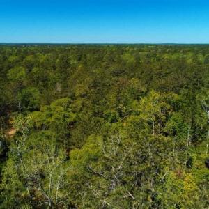 Photo of SOLD!!  9 Acres of Residential and Hunting Land in Pender County NC!