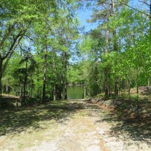 Photo of SOLD!!  9 Acres of Residential and Hunting Land in Pender County NC!