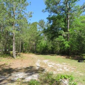 Photo of SOLD!!  9 Acres of Residential and Hunting Land in Pender County NC!