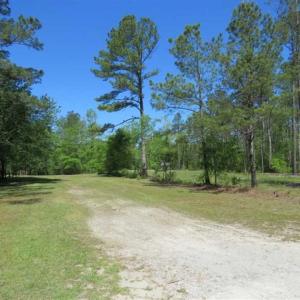 Photo of SOLD!!  9 Acres of Residential and Hunting Land in Pender County NC!