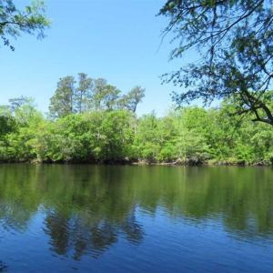 Photo of SOLD!!  9 Acres of Residential and Hunting Land in Pender County NC!