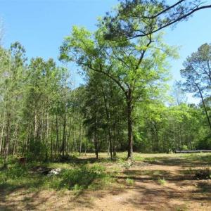 Photo of SOLD!!  9 Acres of Residential and Hunting Land in Pender County NC!