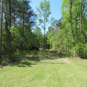Photo of SOLD!!  9 Acres of Residential and Hunting Land in Pender County NC!