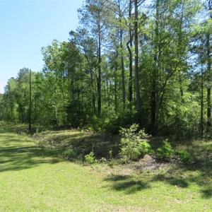Photo of SOLD!!  9 Acres of Residential and Hunting Land in Pender County NC!