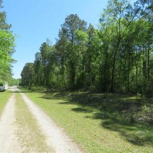 Photo of SOLD!!  9 Acres of Residential and Hunting Land in Pender County NC!