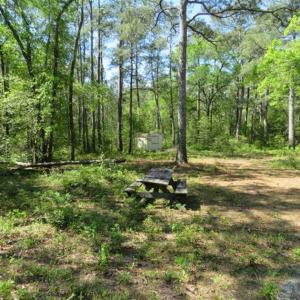 Photo of SOLD!!  9 Acres of Residential and Hunting Land in Pender County NC!