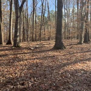 Photo of UNDER CONTRACT!!  10 Acres 0f Timber Land For Sale in Orange County NC!