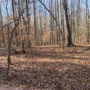 Photo of UNDER CONTRACT!!  10 Acres 0f Timber Land For Sale in Orange County NC!