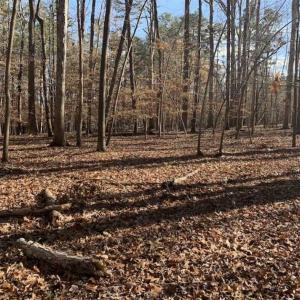 Photo of UNDER CONTRACT!!  10 Acres 0f Timber Land For Sale in Orange County NC!