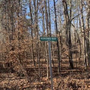 Photo of UNDER CONTRACT!!  10 Acres 0f Timber Land For Sale in Orange County NC!