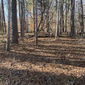 Photo of UNDER CONTRACT!!  10 Acres 0f Timber Land For Sale in Orange County NC!