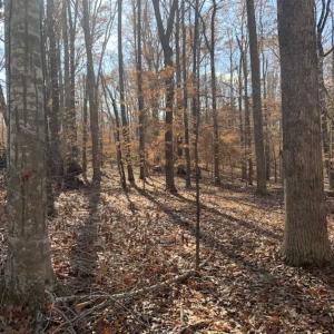 Photo of UNDER CONTRACT!!  10 Acres 0f Timber Land For Sale in Orange County NC!